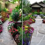 MOST BEAUTIFUL OUTDOOR PLANTS